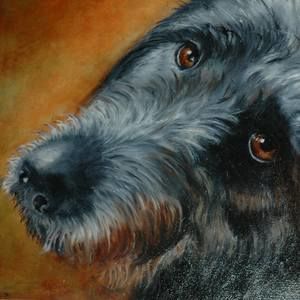 Meet your Posher, Carla